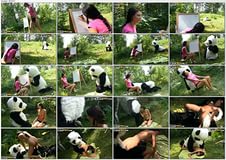 Панда трахает девушку в лесу онлайн