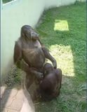Секс орангутангов